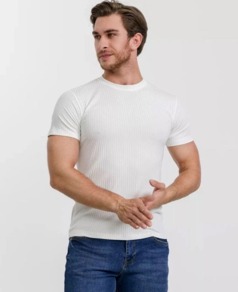 Футболка мужская 49933