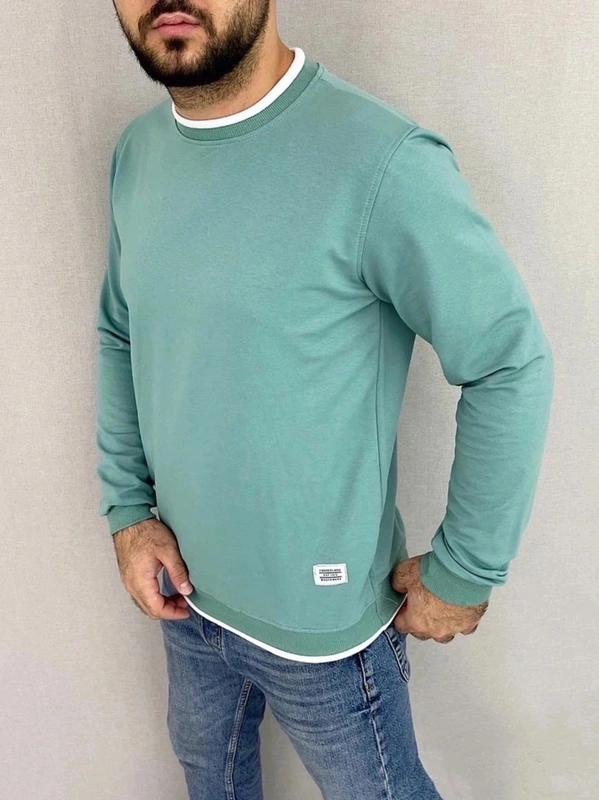 Толстовка мужская 45201