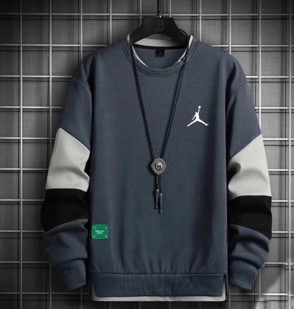 Толстовка мужская 45231