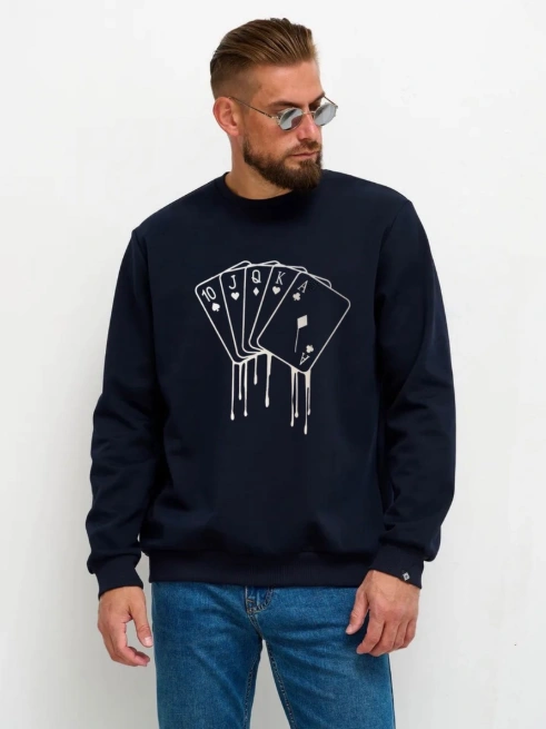 Толстовка мужская 48263