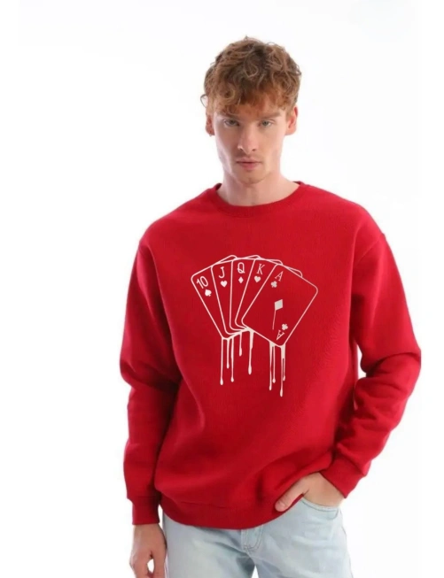 Толстовка мужская 48264